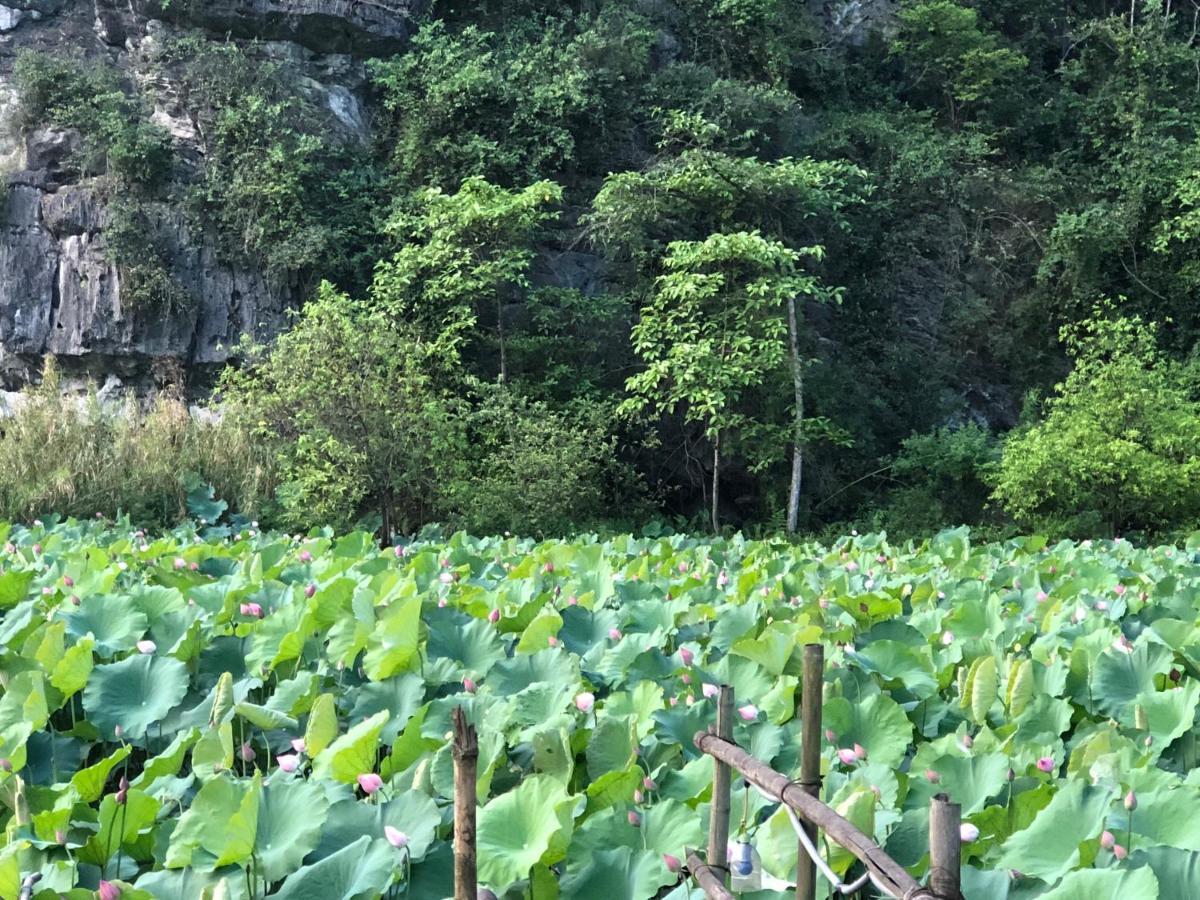 Trang An River View Homestay Ninh Binh Exterior foto